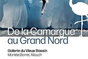 De la Camargue au Grand Nord