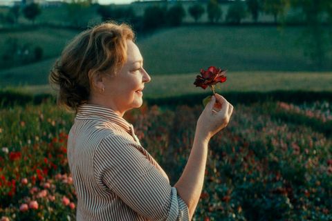 Les Roses à la loupe - Ciné - Conférence