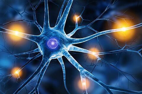 "Maladie d'Alzheimer : et si le cerveau pouvait se défendre?"