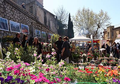 Fête des Plantes et des Fleurs