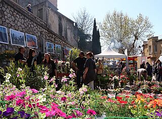 Fête des Plantes et des Fleurs