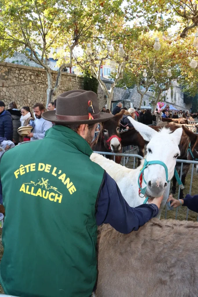 Fête de l'Âne 2024