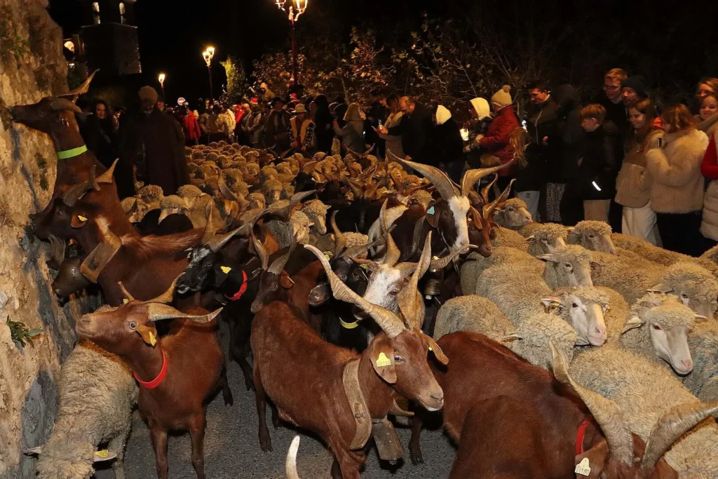 Descente des Bergers 2024