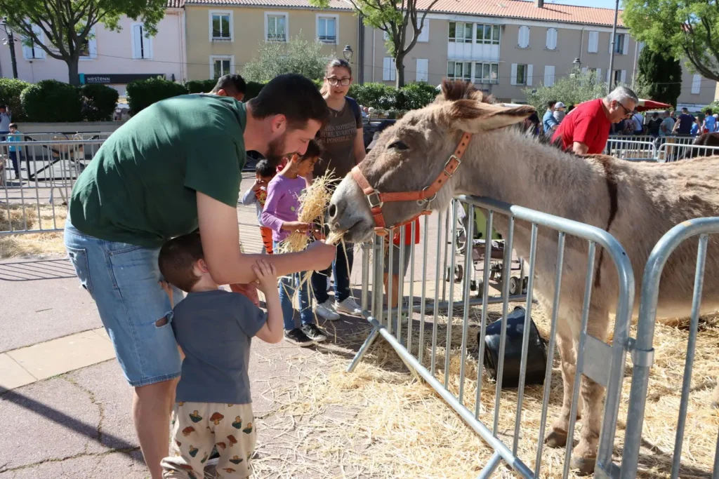 Foire aux Bestiaux et Artisanale 2024