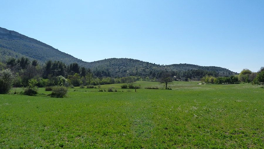 Le domaine de Pichauris