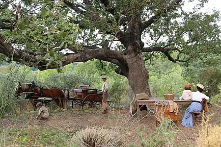 Partez à la découverte des lieux de tournage du triptyque des souvenirs d'enfance de Marcel Pagnol, dans le domaine de Pichauris à Allauch.