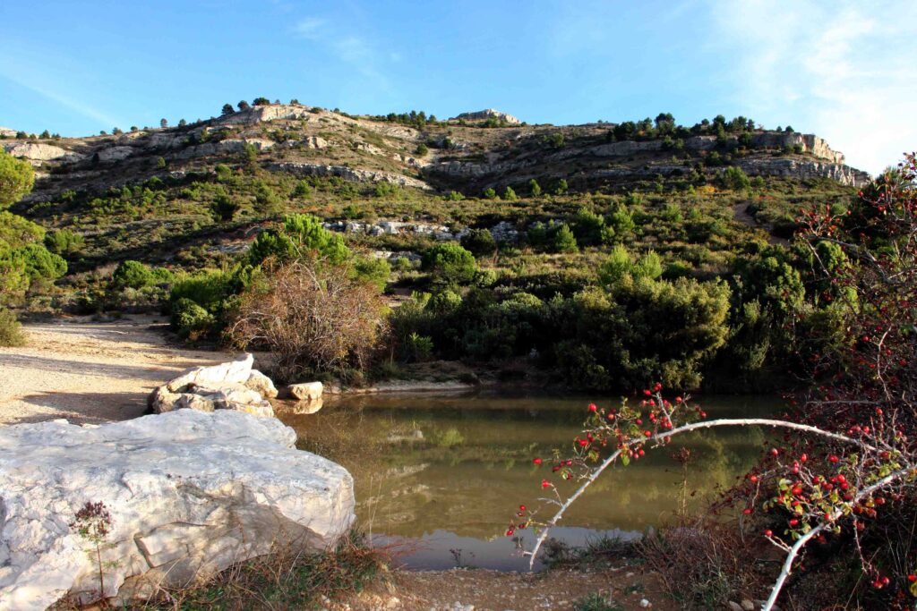 découvrez le parc départemental de pichauris qui fait partie intégrante des collines d'allauch