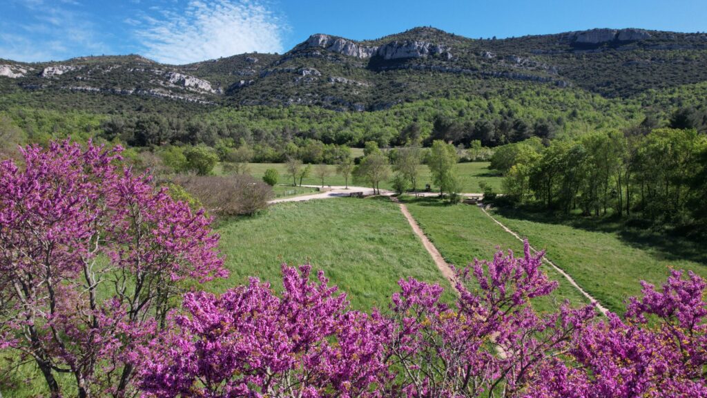 découvrez le parc départemental de pichauris qui fait partie intégrante des collines d'allauch