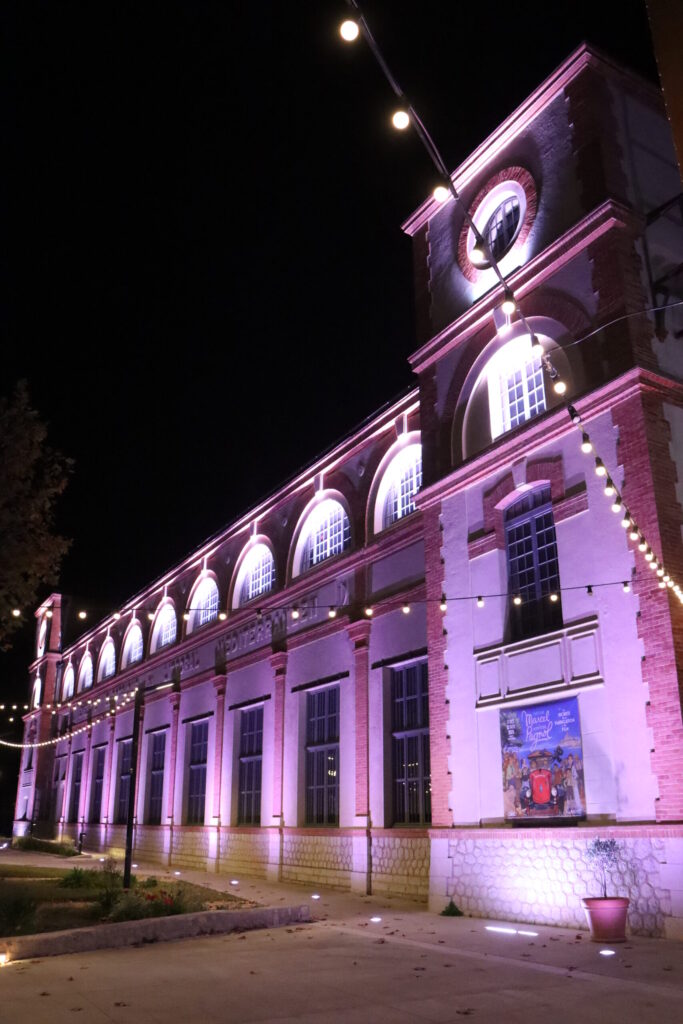 pole culturel de l'usine électrique